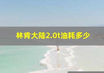 林肯大陆2.0t油耗多少