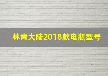 林肯大陆2018款电瓶型号