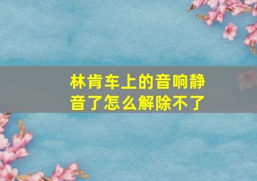 林肯车上的音响静音了怎么解除不了