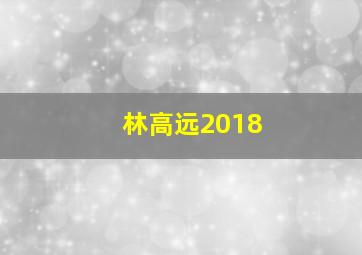 林高远2018