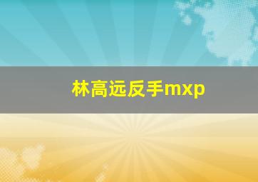 林高远反手mxp