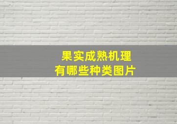 果实成熟机理有哪些种类图片