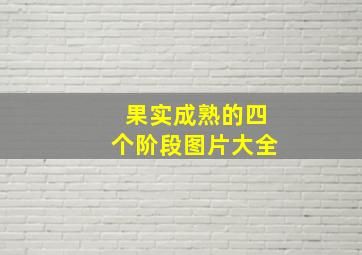 果实成熟的四个阶段图片大全