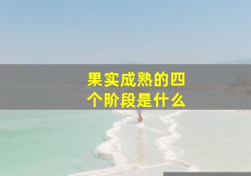 果实成熟的四个阶段是什么