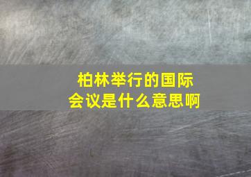 柏林举行的国际会议是什么意思啊