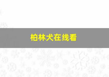 柏林犬在线看