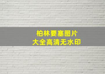 柏林要塞图片大全高清无水印