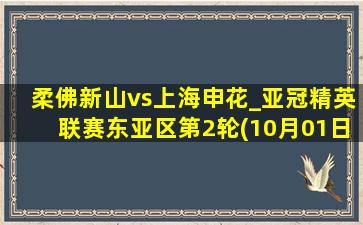 柔佛新山vs上海申花_亚冠精英联赛东亚区第2轮(10月01日)全场集锦