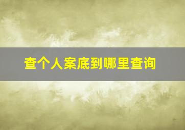 查个人案底到哪里查询