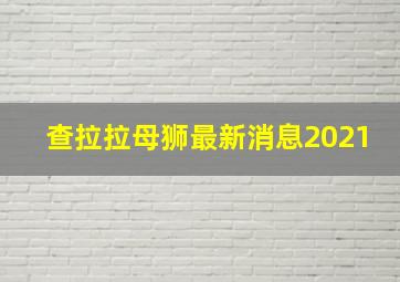 查拉拉母狮最新消息2021