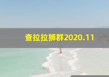 查拉拉狮群2020.11