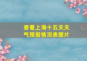 查看上海十五天天气预报情况表图片