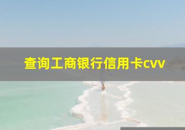 查询工商银行信用卡cvv