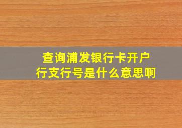 查询浦发银行卡开户行支行号是什么意思啊