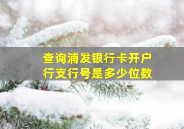 查询浦发银行卡开户行支行号是多少位数