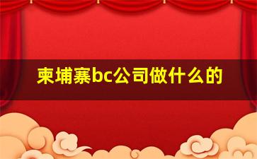 柬埔寨bc公司做什么的