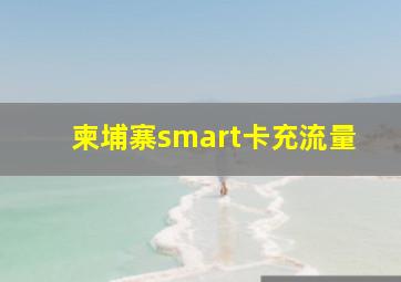 柬埔寨smart卡充流量