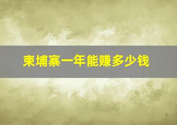 柬埔寨一年能赚多少钱