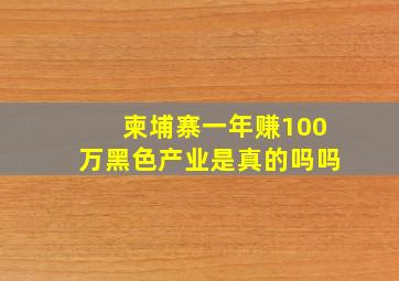 柬埔寨一年赚100万黑色产业是真的吗吗