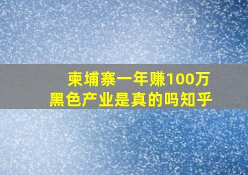 柬埔寨一年赚100万黑色产业是真的吗知乎