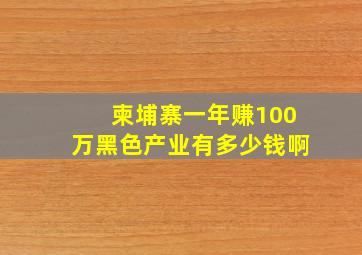 柬埔寨一年赚100万黑色产业有多少钱啊