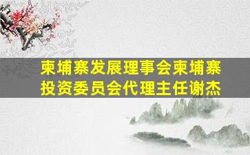 柬埔寨发展理事会柬埔寨投资委员会代理主任谢杰