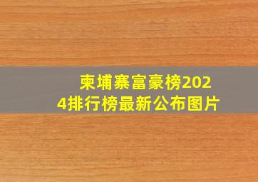 柬埔寨富豪榜2024排行榜最新公布图片