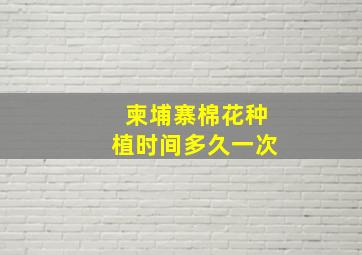 柬埔寨棉花种植时间多久一次