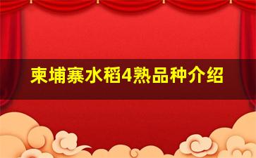 柬埔寨水稻4熟品种介绍