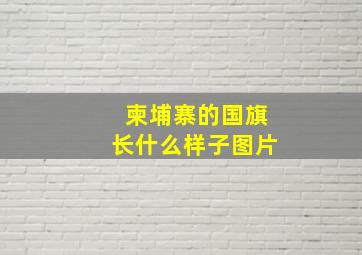 柬埔寨的国旗长什么样子图片