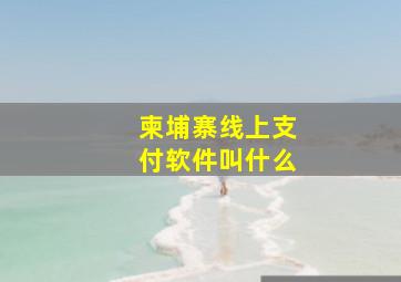 柬埔寨线上支付软件叫什么