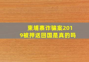 柬埔寨诈骗案2019被押送回国是真的吗