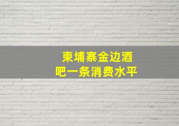 柬埔寨金边酒吧一条消费水平