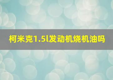 柯米克1.5l发动机烧机油吗