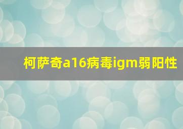 柯萨奇a16病毒igm弱阳性