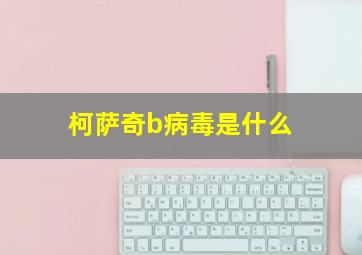 柯萨奇b病毒是什么