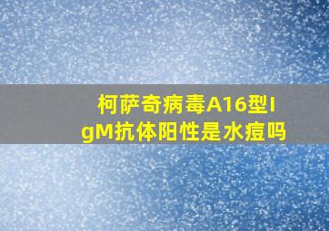 柯萨奇病毒A16型IgM抗体阳性是水痘吗