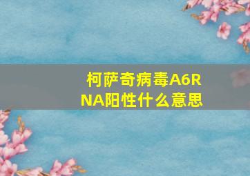 柯萨奇病毒A6RNA阳性什么意思