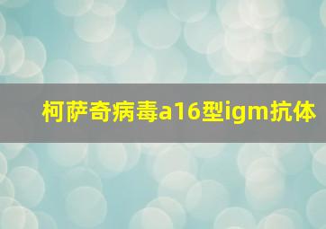 柯萨奇病毒a16型igm抗体