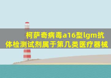 柯萨奇病毒a16型lgm抗体检测试剂属于第几类医疗器械