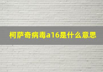 柯萨奇病毒a16是什么意思