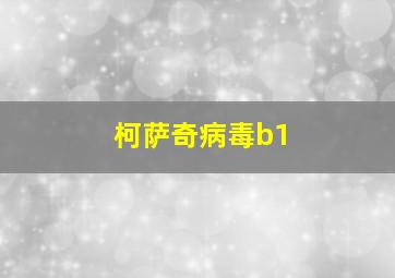 柯萨奇病毒b1