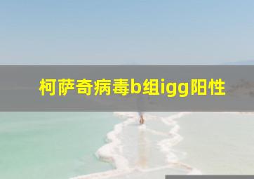 柯萨奇病毒b组igg阳性