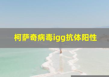 柯萨奇病毒igg抗体阳性