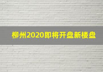 柳州2020即将开盘新楼盘