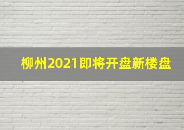 柳州2021即将开盘新楼盘