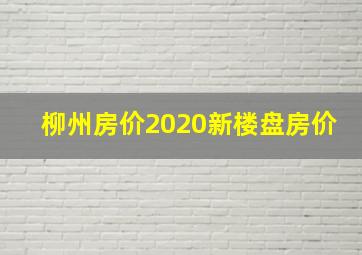 柳州房价2020新楼盘房价