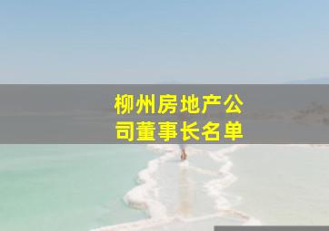 柳州房地产公司董事长名单