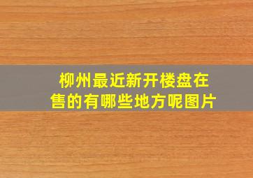 柳州最近新开楼盘在售的有哪些地方呢图片