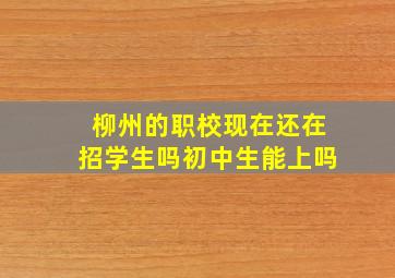 柳州的职校现在还在招学生吗初中生能上吗